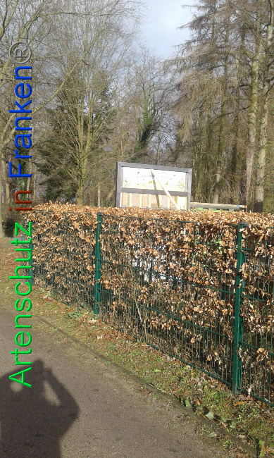 Bild zum Eintrag (1019458-160)