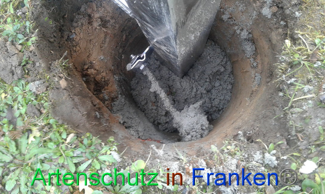 Bild zum Eintrag (1019460-160)