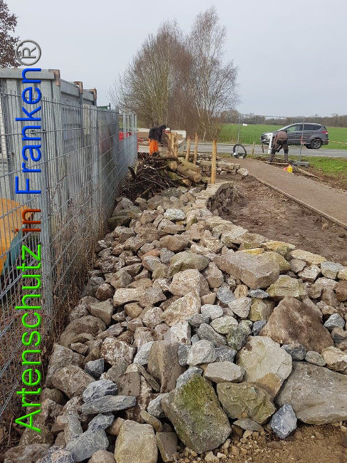 © Artenschutz in Franken® Sonfeld Bild zum Eintrag (1019972-160)