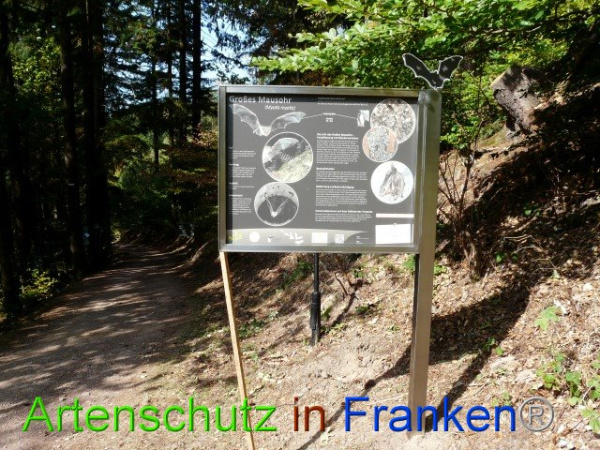 Bild zum Eintrag (102001-160)