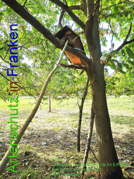 Copyright AiF / Rolf Thiemann Bild zum Eintrag (102007-160)