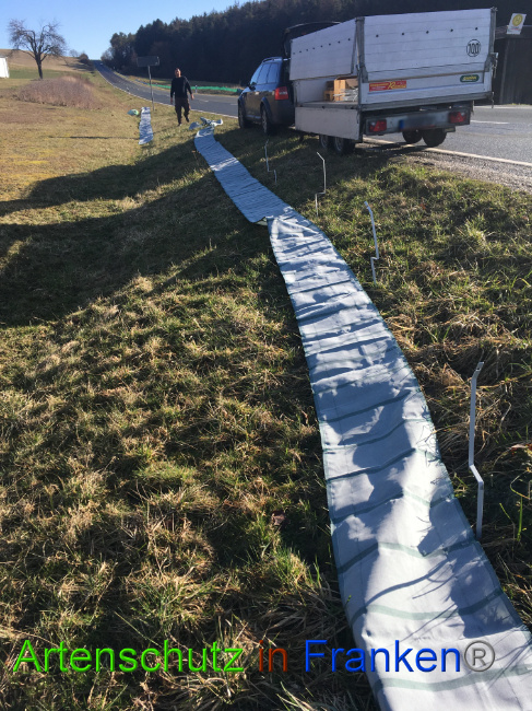 © Artenschutz in Franken® Bild zum Eintrag (1020178-160)