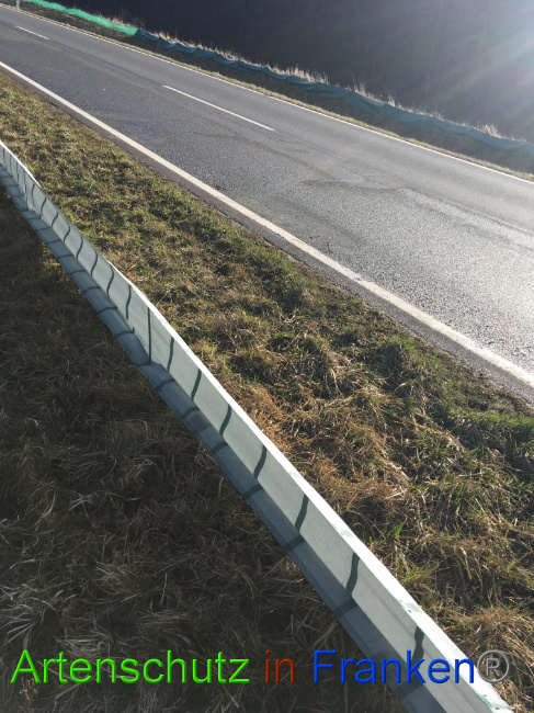 © Artenschutz in Franken® Bild zum Eintrag (1020179-160)