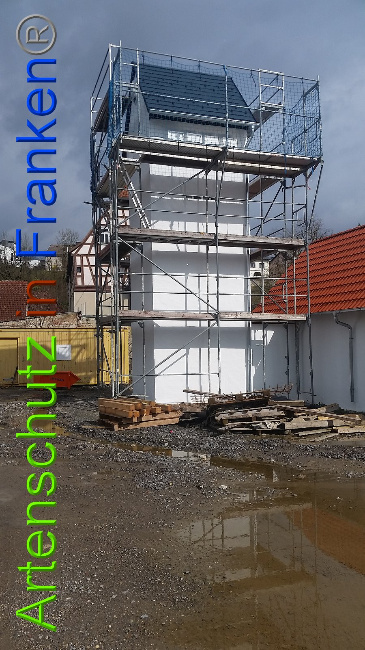 © Artenschutz in Franken® Bild zum Eintrag (1020389-160)
