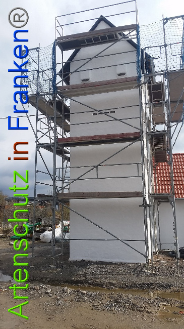 © Artenschutz in Franken® Bild zum Eintrag (1020391-160)