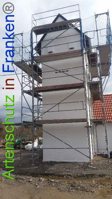 © Artenschutz in Franken® Bild zum Eintrag (1020396-160)