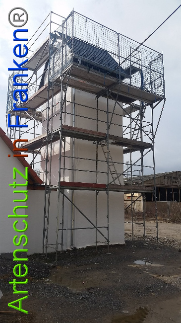 © Artenschutz in Franken® Bild zum Eintrag (1020397-160)