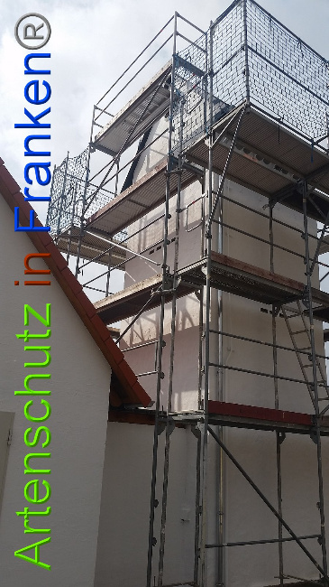 © Artenschutz in Franken® Bild zum Eintrag (1020398-160)