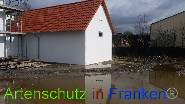 © Artenschutz in Franken® Bild zum Eintrag (1020404-160)