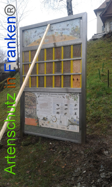 © Artenschutz in Franken® Bild zum Eintrag (1020592-160)