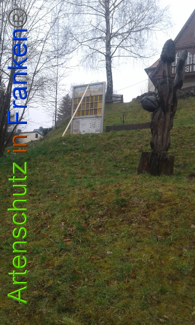 © Artenschutz in Franken® Bild zum Eintrag (1020594-160)