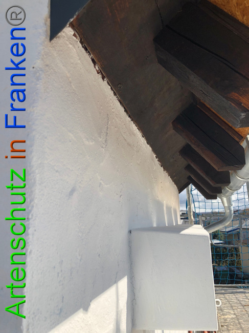 © Artenschutz in Franken® Bild zum Eintrag (1020604-160)