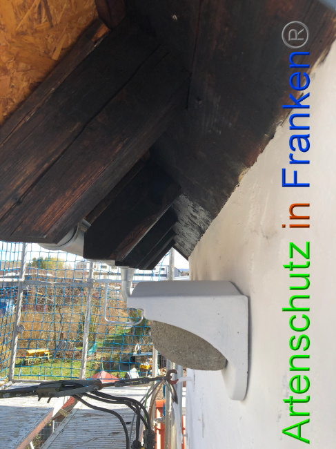 © Artenschutz in Franken® Bild zum Eintrag (1020607-160)