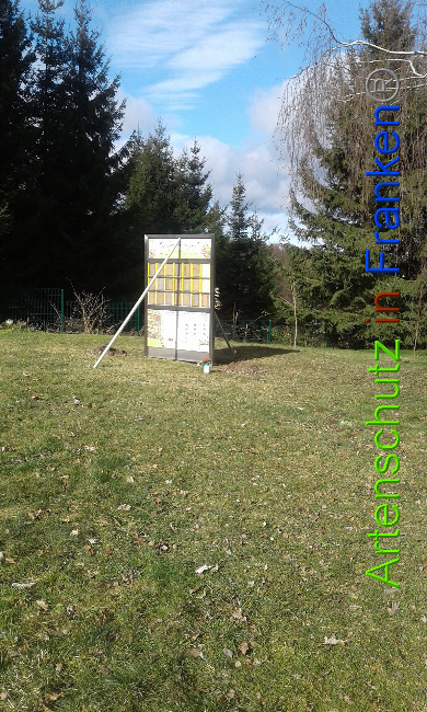 © Artenschutz in Franken® Bild zum Eintrag (1020634-160)