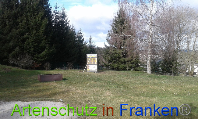 © Artenschutz in Franken® Bild zum Eintrag (1020635-160)