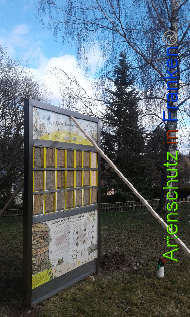 © Artenschutz in Franken® Bild zum Eintrag (1020638-160)