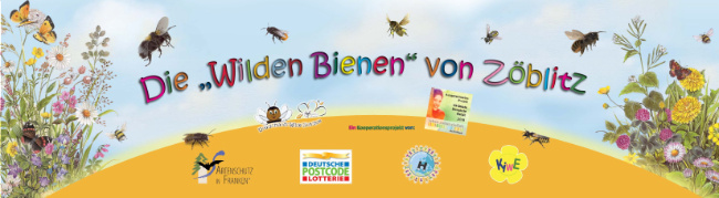 © Artenschutz in Franken® Bild zum Eintrag (1020640-160)