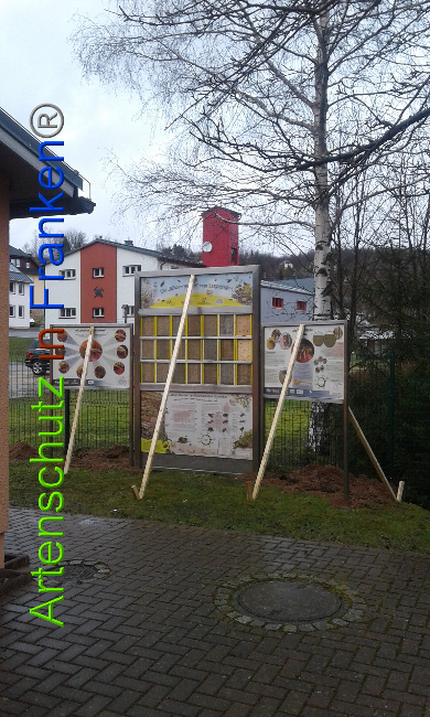 © Artenschutz in Franken® Bild zum Eintrag (1020659-160)