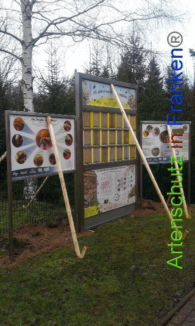 © Artenschutz in Franken® Bild zum Eintrag (1020660-160)