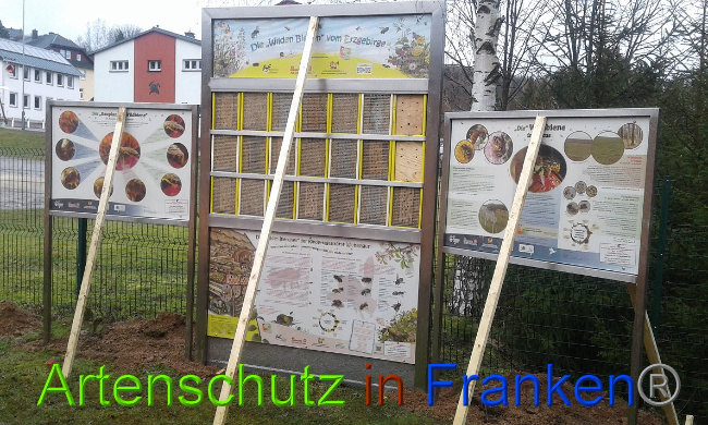 © Artenschutz in Franken® Bild zum Eintrag (1020661-160)