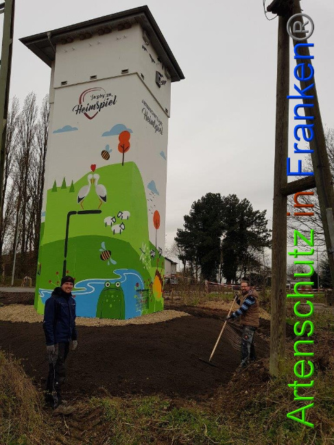 © Artenschutz in Franken® Sonfeld Bild zum Eintrag (1020849-160)