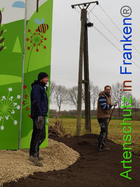© Artenschutz in Franken® Sonfeld Bild zum Eintrag (1020852-160)
