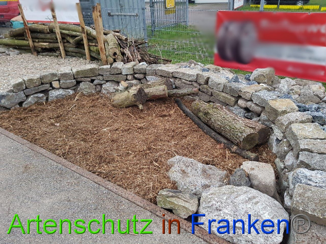 © Artenschutz in Franken® Sonfeld Bild zum Eintrag (1020866-160)