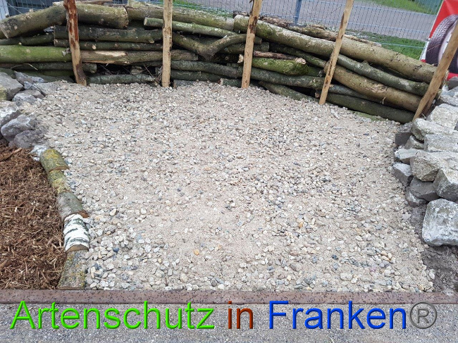 © Artenschutz in Franken® Sonfeld Bild zum Eintrag (1020867-160)