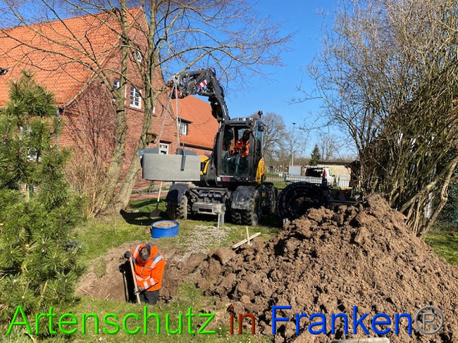 © Artenschutz in Franken® Bild zum Eintrag (1020983-160)