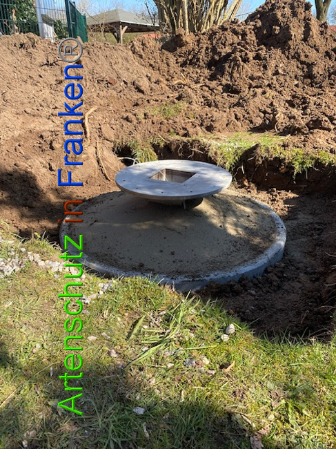© Artenschutz in Franken® Bild zum Eintrag (1020987-160)