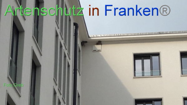 Copyright AiF / Volkmar Greb Bild zum Eintrag (102101-160)