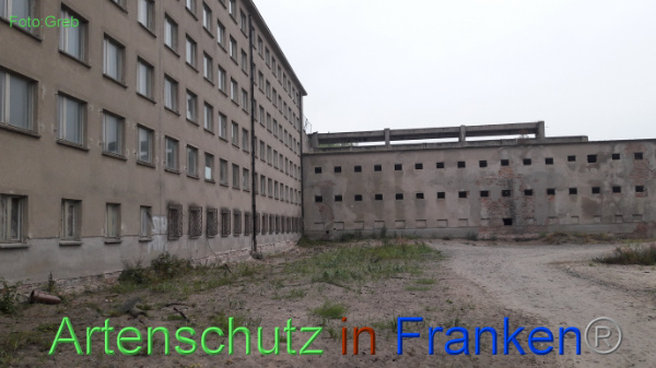 Copyright AiF / Volkmar Greb Bild zum Eintrag (102102-160)