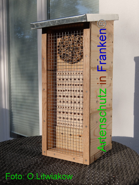 © Artenschutz in Franken® / Litwiakow Bild zum Eintrag (1021538-160)