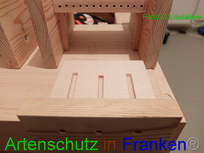 © Artenschutz in Franken® / Litwiakow Bild zum Eintrag (1021539-160)