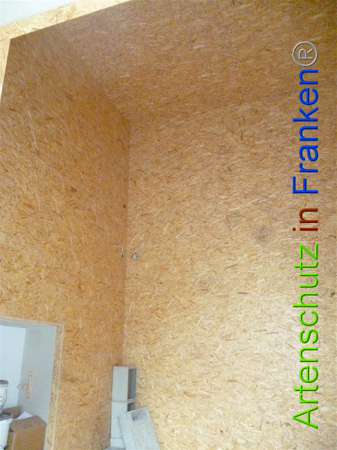 © Artenschutz in Franken® Bild zum Eintrag (1021933-160)
