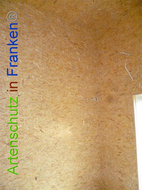 © Artenschutz in Franken® Bild zum Eintrag (1021935-160)