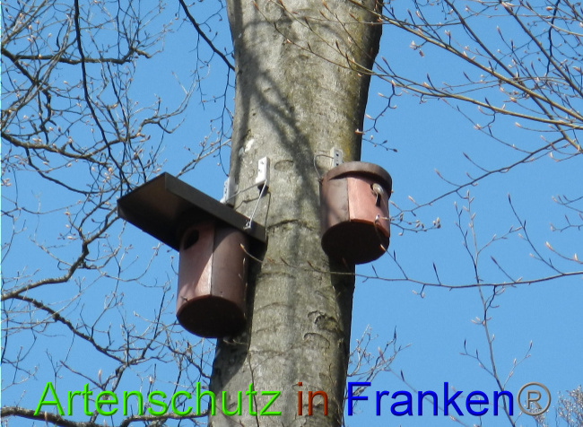 © Artenschutz in Franken® Bild zum Eintrag (1022057-160)