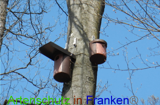 Bild zum Eintrag (1022113-160)