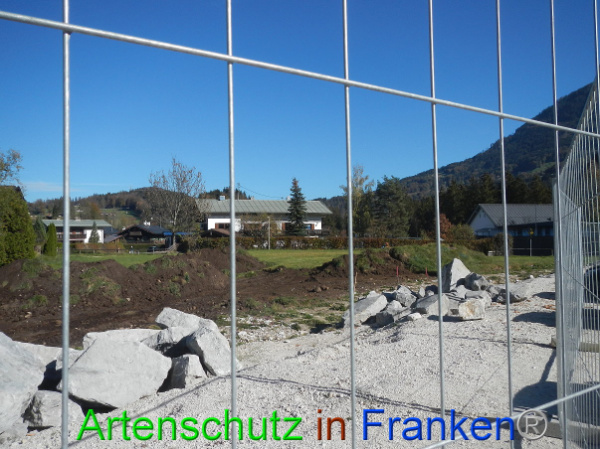 Bild zum Eintrag (102217-160)