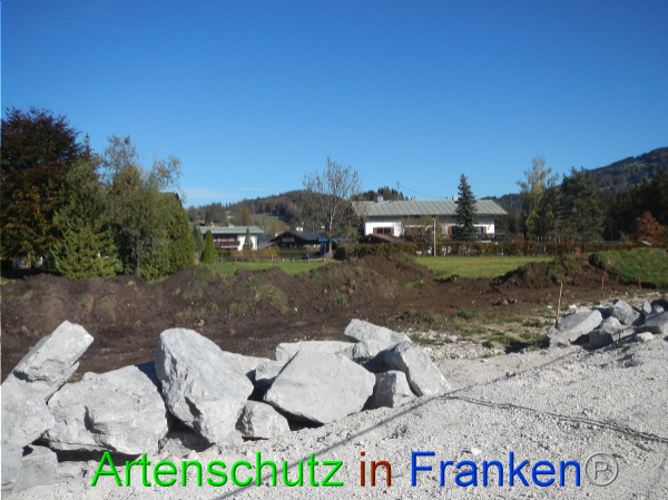 Bild zum Eintrag (102219-160)