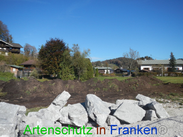 Bild zum Eintrag (102220-160)