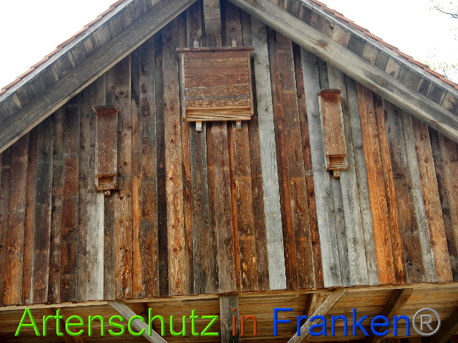 © Artenschutz in Franken® Bild zum Eintrag (1022514-160)