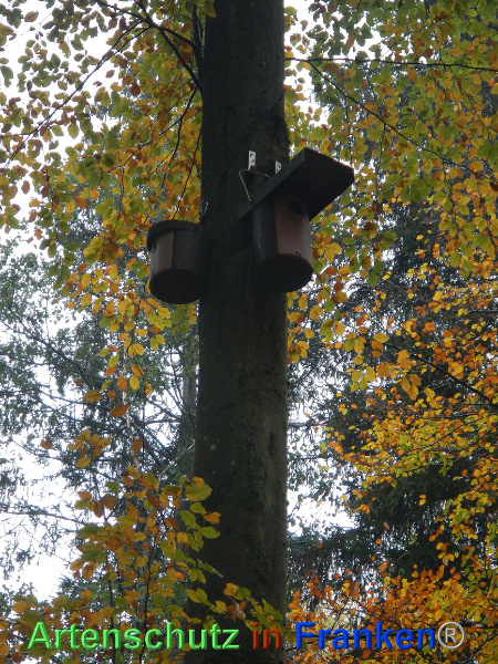 Bild zum Eintrag (102262-160)
