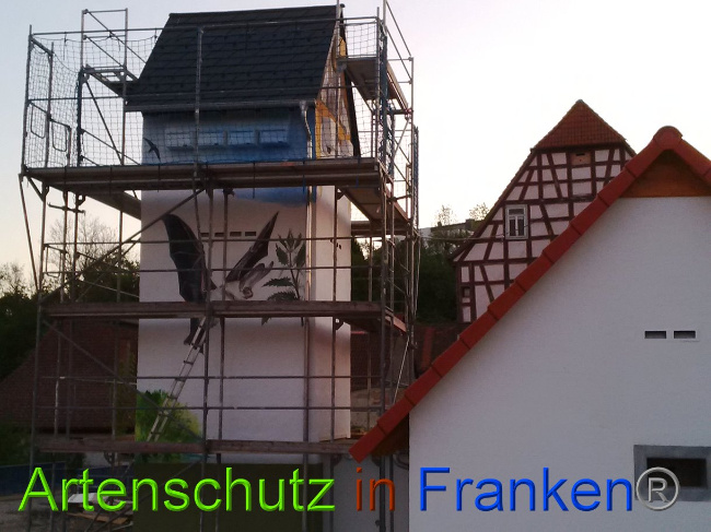 © Artenschutz in Franken® Bild zum Eintrag (1022792-160)