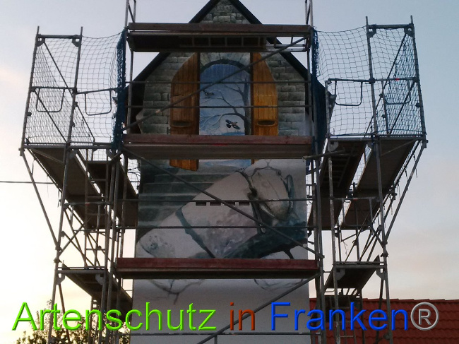 © Artenschutz in Franken® Bild zum Eintrag (1022793-160)