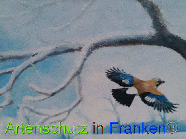 © Artenschutz in Franken® Bild zum Eintrag (1022795-160)
