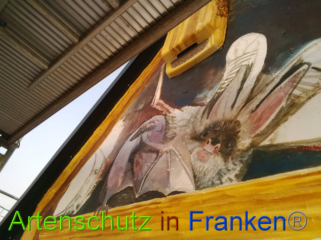 © Artenschutz in Franken® Bild zum Eintrag (1022796-160)