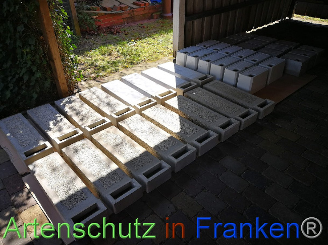 © Artenschutz in Franken® Bild zum Eintrag (1023051-160)