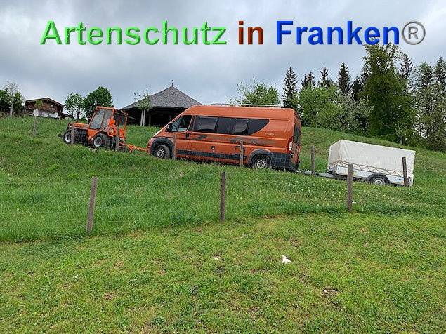 © Artenschutz in Franken® / Krautwurst Bild zum Eintrag (1023536-160)