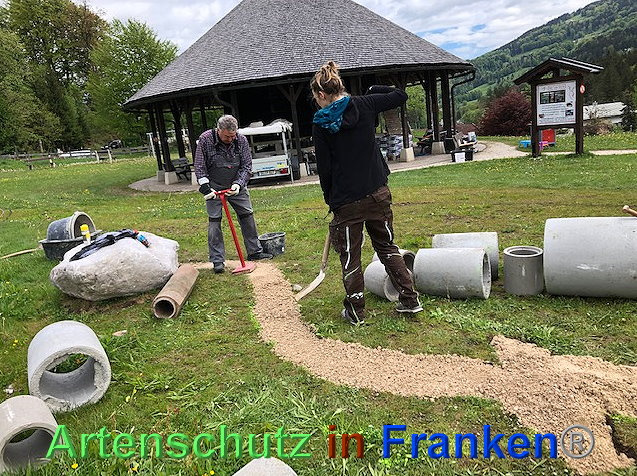 © Artenschutz in Franken® / Krautwurst Bild zum Eintrag (1023545-160)